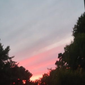 Meet your Posher, Izzy